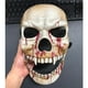 thumbnail image 3 of Máscara de calavera de boca movible para Halloween, Cosplay de Horror, esqueleto sangriento, asesino, demonio, casco de plástico, accesorios de disfraces de fiesta de casa encantada, 3 of 4