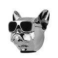 thumbnail image 2 of Rechargeable Bluetooth True Wireless Stereo Portable Dog Speaker: Silver, 2 of 8