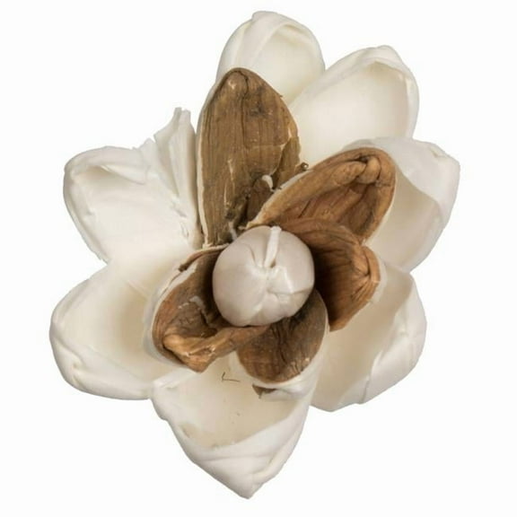 Vickerman 686232 - 1-3" Assorted Lillian Sola Head 24/bg (H7SFL004) Dried and Preserved Flowers