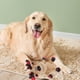 thumbnail image 3 of GOOHOCHY Perro de peluche navideño con sonido, juguete para la dentición, juguete masticable para cachorros, 3 of 8