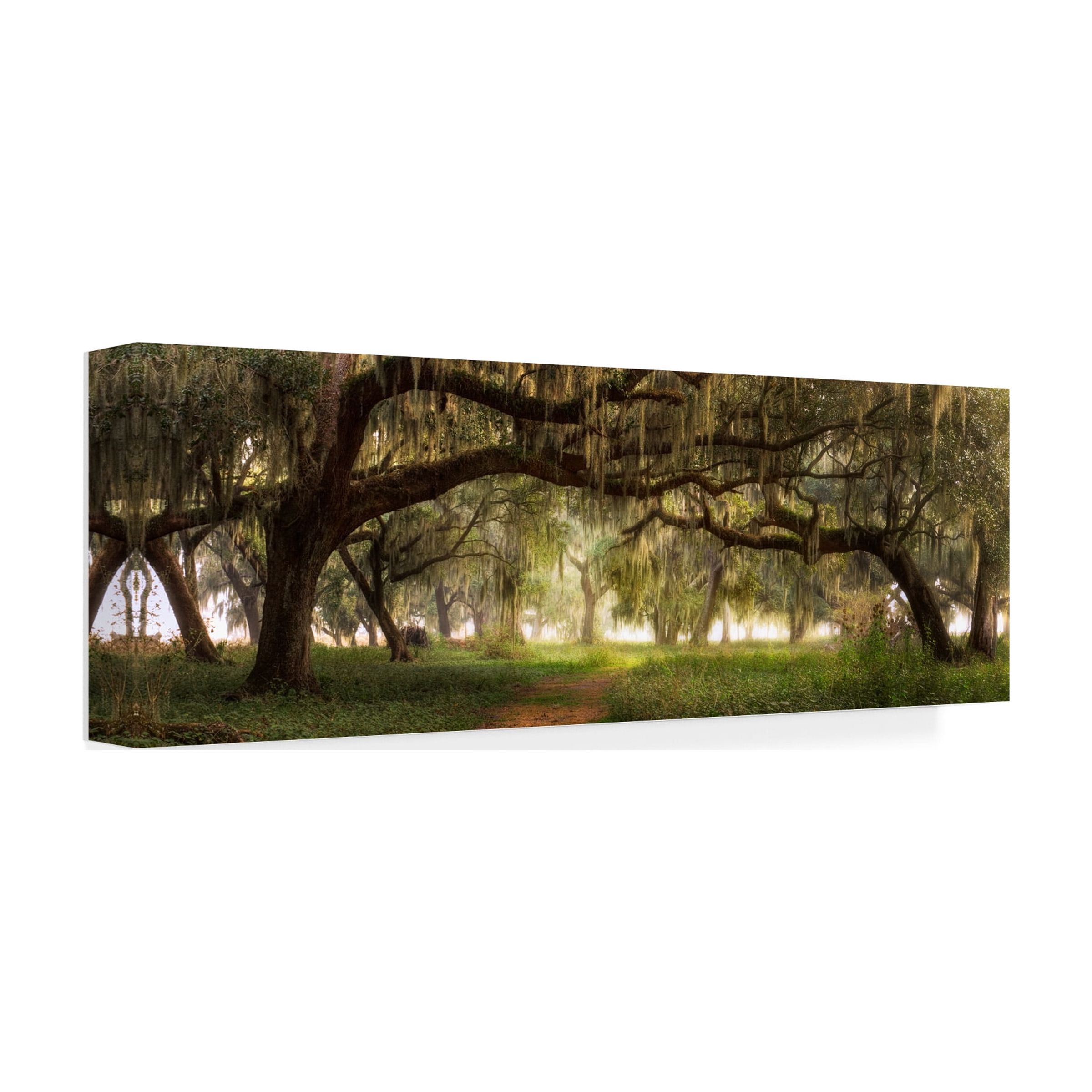 Trademark Fine Art 'Southern Charm' Canvas Art by Doug Cavanah