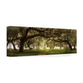 thumbnail image 4 of Trademark Fine Art Doug Cavanah Southern Charm Canvas Wall Art - 6x19, 4 of 4