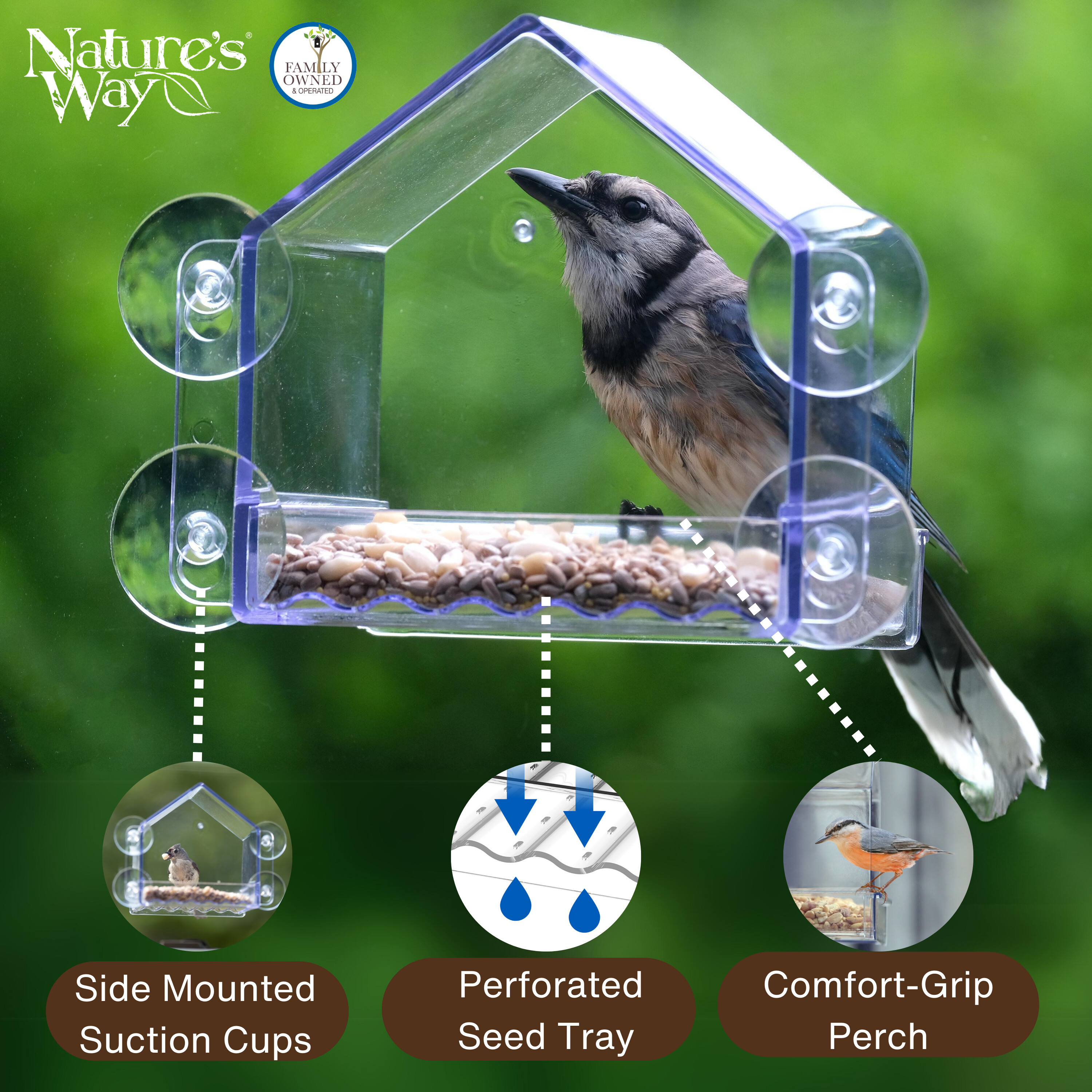 Nature's Way Clear View Window Bird Feeder, 2-Cup photo 4