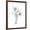 Brown Frame, variant on Art.com Botanical Sketch III Art Print by Ethan Harper, 12" x 16"