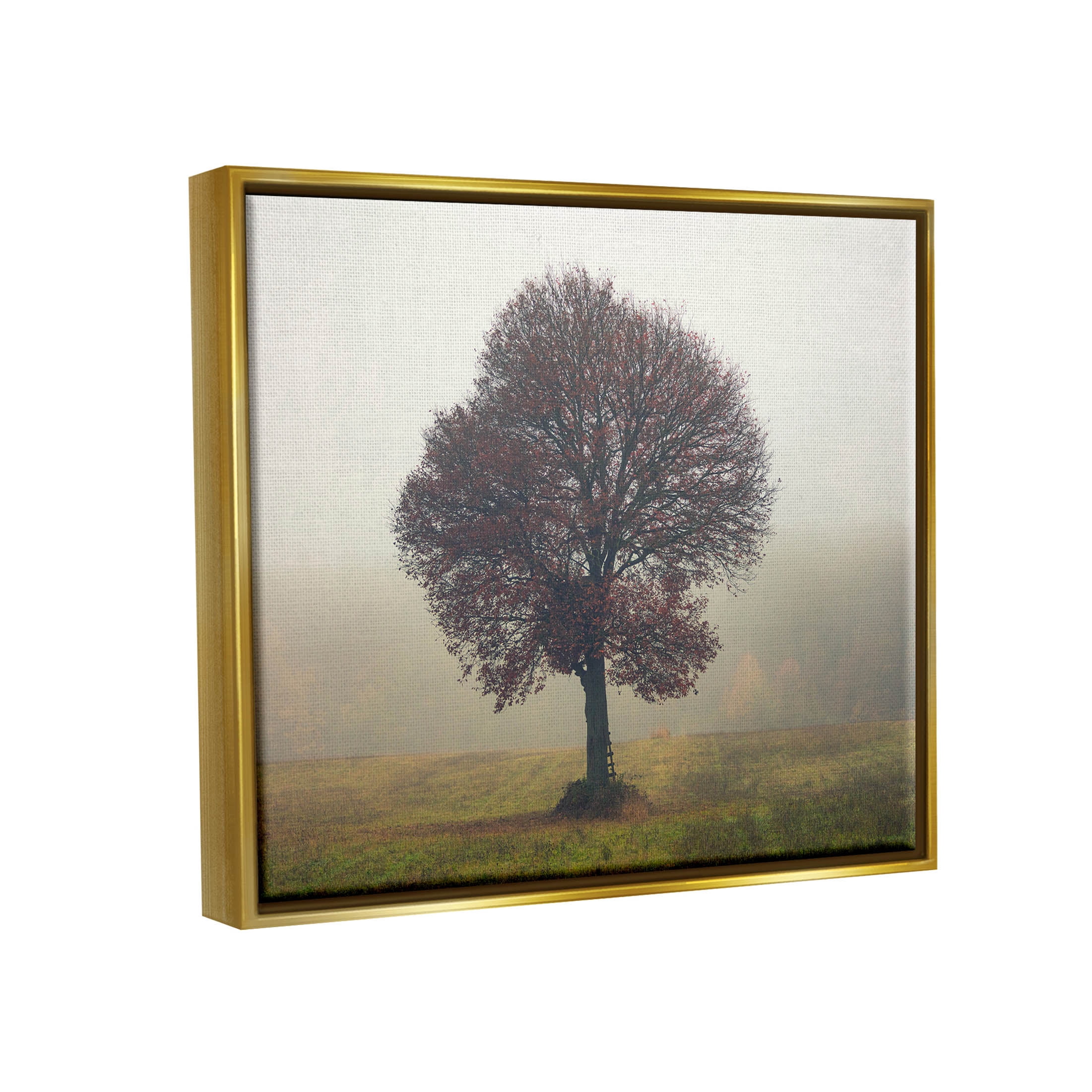Stupell Industries Lone Tree Rural Grassland Photograph Metallic Gold Floating Framed Canvas Print Wall Art, Design by Igor Vitomirov