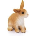 thumbnail image 2 of Rabbit, 2 of 8