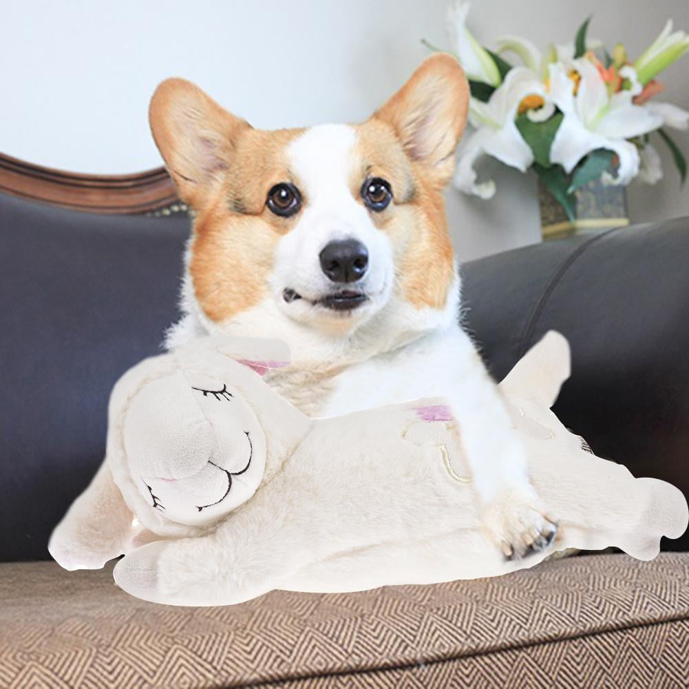 dog toys that help with separation anxiety