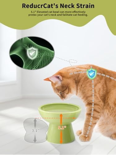 Elevated Green Cat Bowls Set - Wide Raised Ceramic Feeder, Anti-Vomit Whisker-Free Bowl for Kittens to Adult Cats