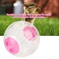 thumbnail image 1 of Exercise 18.5cm New Fashion Plastic Small Pet Hamster Gerbil Toy Running Activity Exercise Ball, 1 of 8