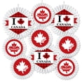 thumbnail image 2 of Big Dot of Happiness Canada Day - Hanging Canadian Party Tissue Decoration Kit - Paper Fans - Set of 9, 2 of 8