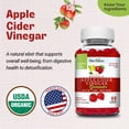thumbnail image 2 of Herbion Apple Cider Vinegar Gummies with The Mother, Supports Digestion & Detox, Natural Apple Flavor, Vegan, 60 Ct, 2 of 7