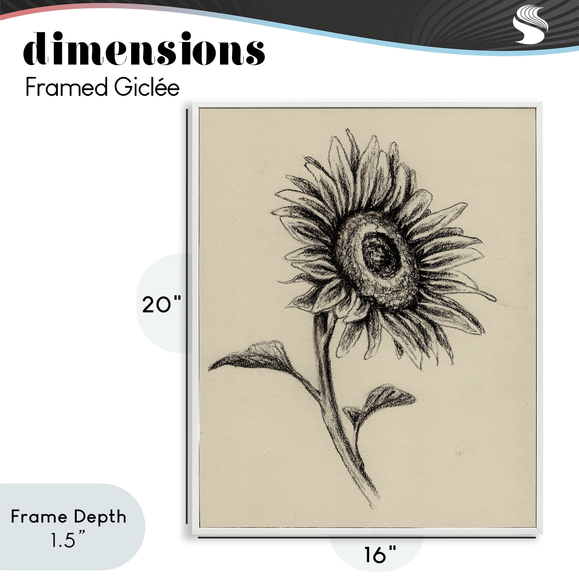 Stupell Industries Sunflowers in Charcoal White Framed Giclee Art, design by Leah Noel Art