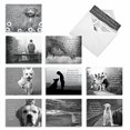 thumbnail image 2 of The Best Card Company - 10 Assorted Blank All Occasions Notecards Box Set 4 x 5.12 Inch w/Envelopes Colorful Watercolor, Flowers for Women (10 Designs, 1 Each) - Words For Friends M6482OCB, 2 of 4
