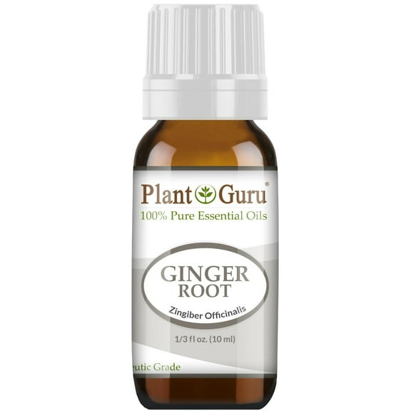 Fresh Ginger (Root) Essential Oil 10 ml 100% Pure Undiluted Therapeutic Grade For Skin, Body and Hair Growth. Perfect for DYI Soap Making and Aromatherapy Diffuser.