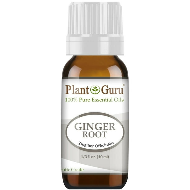 Fresh Ginger (Root) Essential Oil 10 ml 100 Pure Undiluted Therapeutic