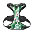 thumbnail image 5 of Lsque Cactus Plants Dog Harness, No-Pull Pet Harness with 2 Leash Clips, Adjustable Soft Padded Dog Vest with Easy Control Handle for Large Dogs-Medium, 5 of 9