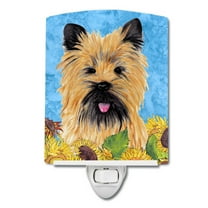 Caroline's Treasures SC9057CNL Cairn Terrier in Summer Flowers Ceramic Night Light, 6x4x3", multicolor