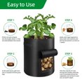 thumbnail image 4 of 6 Pack 10 Gallon Potato Grow Bags with Window Vegetable Grow Bags, Garden Planting Bag with Durable Handle, Plant Pots for Tomato, Vegetable and Fruits, 4 of 7