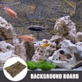 thumbnail image 3 of Terrarium Fond Habitat de Serpent Décoration Réservoir de Reptiles Fond Réservoir 3D Décor, 3 of 9