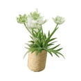 thumbnail image 4 of 2x Planta en Maceta en Miniatura Flores Artificial Bonsai Photo Props 1/12 Flor en Miniatura Adorno de Bonsái para Patio Jardín Entrada Hall Decoració 2 piezas, 4 of 8
