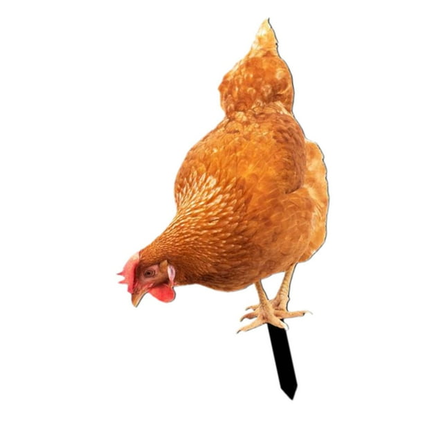 DOLITY Acrylic Chicken Statue Stake Animal Statue for Swimming Pool Courtyard Patio 27cmx16.3cm