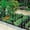 White, variant on Decorative White Garden Fence Border 18in X50ft Outdoor Metal Wire Garden Fencing Flower Bed Folding Fences Panel Patio Edging Landscape for Yard