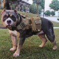 thumbnail image 4 of Chaleco táctico para perros shaofei militar caza tiro M CP, 4 of 5