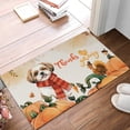 thumbnail image 2 of Happy Thanksgiving Shih Tzu with Turkey Pumpkins Autumn Vibes Doormat Lion Dog Lover Gifts Indoor Outdoor Welcome Mat - 12018, 2 of 5
