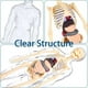 thumbnail image 4 of Modelo transparente de la estructura del cuerpo humano, 29 piezas, órganos y huesos desmontables. Modelo de torso y órganos humanos para ensamblar. Modelo de esqueleto humano para demostración de la e, 4 of 6
