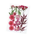 thumbnail image 3 of KLKCMS Dried Pressed Flowers Craft Making Beautiful Real Dried Flowers for Scrapbooking Maple, 3 of 9