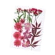 thumbnail image 3 of Flores secas prensadas, pegatinas de maquillaje de flores secas para álbumes de recortes, manualidades de bricolaje para Arce, 3 of 9