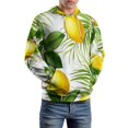 thumbnail image 5 of Summer Pattern With Lemon 3D Print Hoodie Men Women Autumn Thin Pullover Sweatshirt Vintage Streetwear Tops, 5 of 6