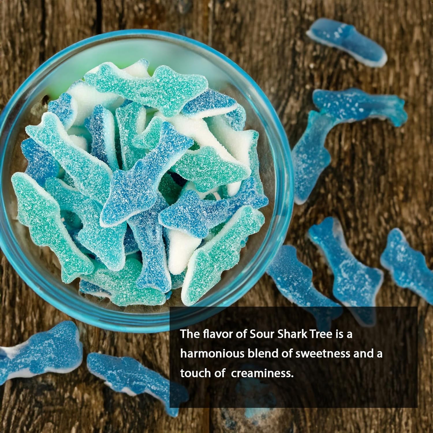 NY Spice Shop Gummy Sour Sharks - 3 Pound - Gummy Candies - Gummy Candy - Movie Snacks - Candy Gummies