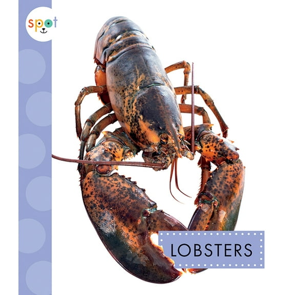 Mari C Schuh: Spot Ocean Animals: Lobsters, Book 1 (Paperback)