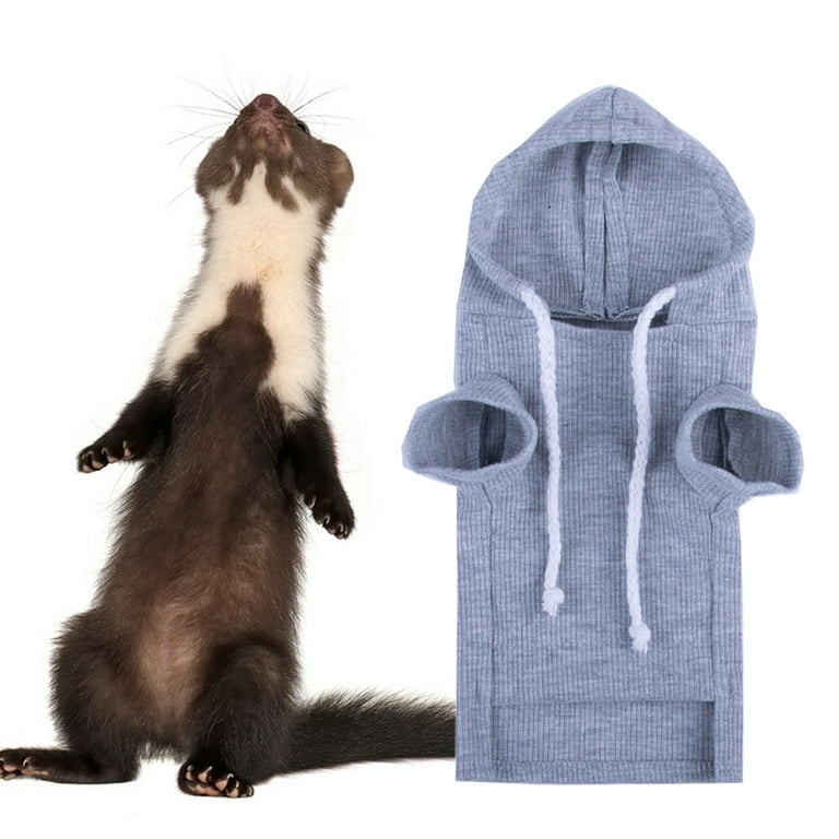 Ferret with online hoodie