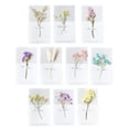 thumbnail image 2 of 12pcs Teachers' Day Gift Valentine's Day Dried Flower Greeting Cards (Random Style), 2 of 8