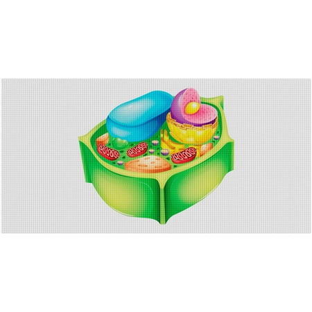 24" x 48" Plant Cell Baseplate