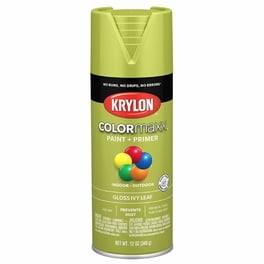 Where to Buy Microwave Cavity Paint: Top Online Stores
