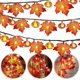 thumbnail image 1 of Kit de decoración de Halloween YONGSHENG 2 paquetes de 60 hojas luces de cadena de arce de calabaza 20 pies, 1 of 5