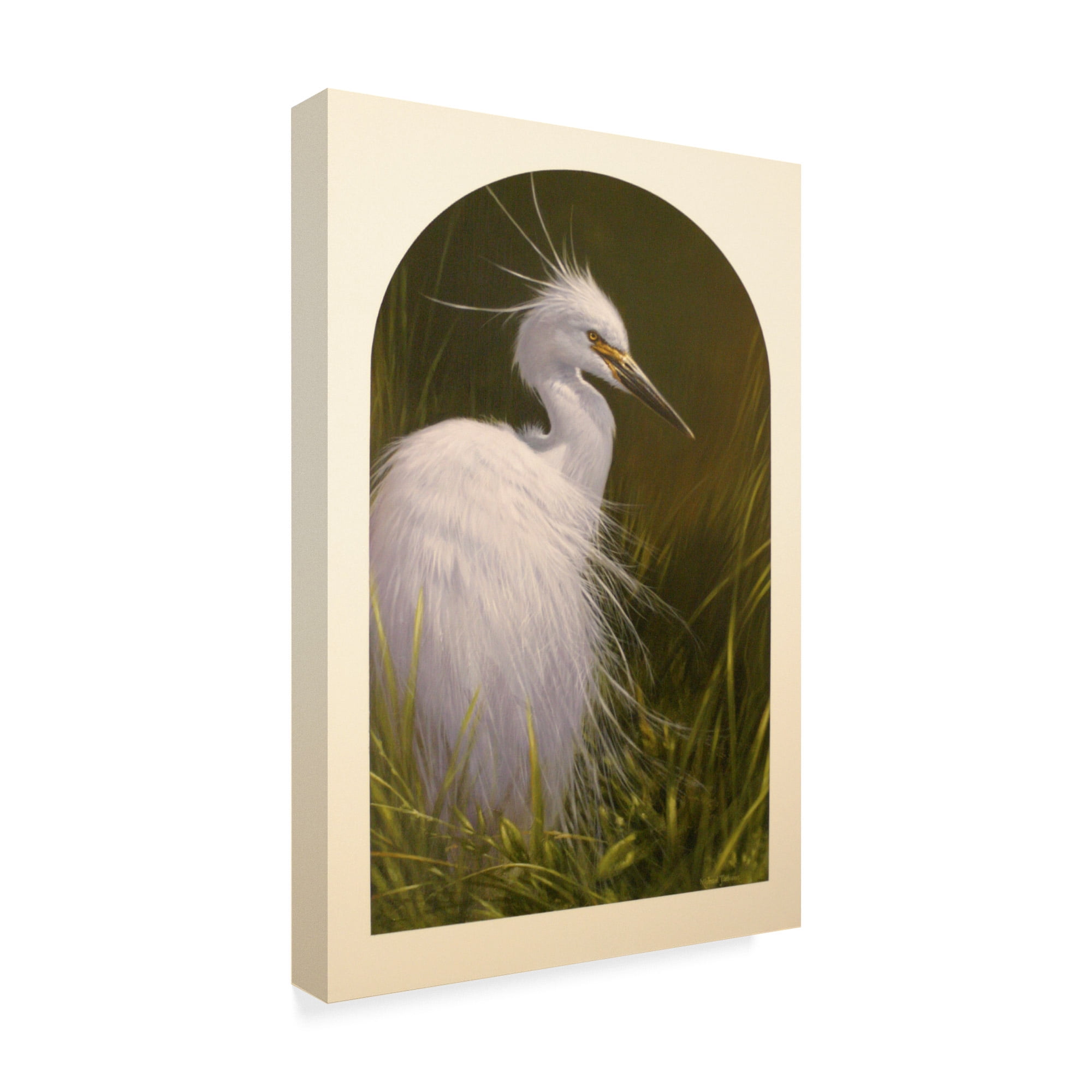 Trademark Fine Art 'White Egret' Canvas Art by Michael Jackson