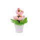 thumbnail image 1 of Decoraciones de Pascua para el Hogar Decoración de Huevos de Pascua Mini Decoración de Plantas en Macetas de Interior Tema de Vacaciones Decoración Del Hogar Agrega Vitalidad Festiva, Macetas de Plant, 1 of 6
