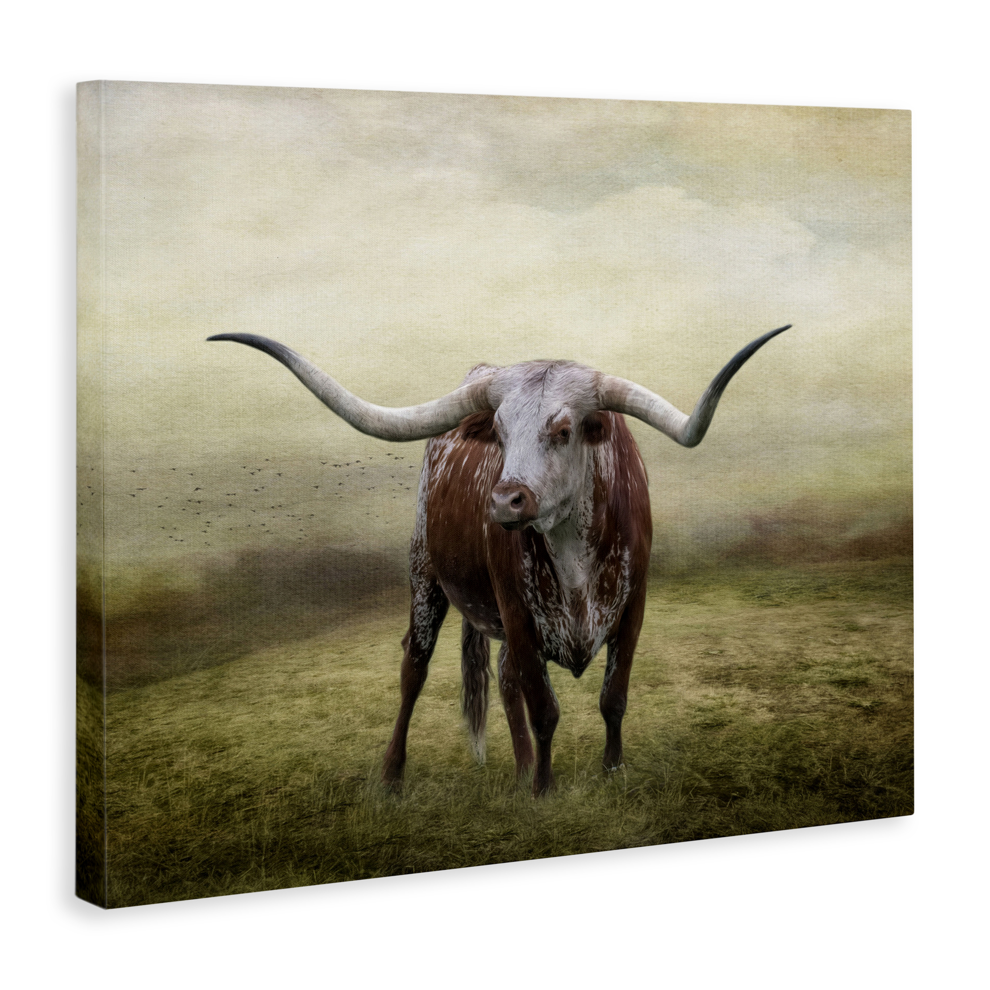 Stupell Industries Pride Of The Longhorn Animals & Insects Photography Gallery Wrapped Canvas Art Print Wall Art, 48 x 36