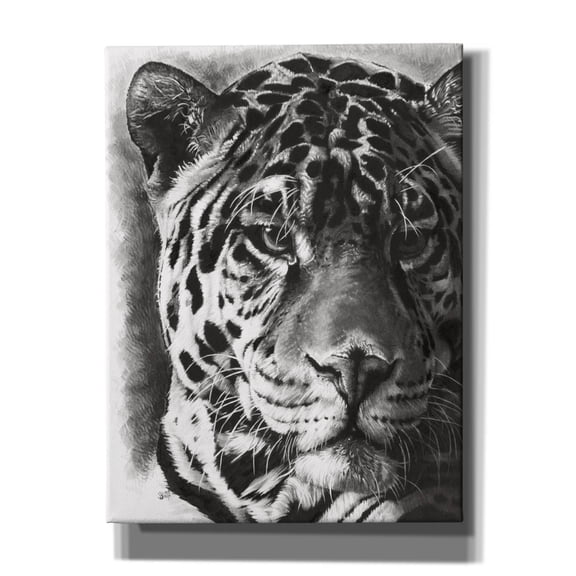 Epic Graffiti 'Kingpin' by Barbara Keith, Canvas Wall Art, 12"x16"