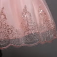 thumbnail image 5 of SonxaHe Toddler Girl Dress Elegant Floral Embroidery Sleeveless Tulle Dress Kids Wedding Birthday Pageant Evening Gown Pink,Szie 2-3 Y, 5 of 7