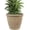 Beige, variant on 24-Inch Anjelica Large Plastic Pot for Plants - Outdoor Double-Walled Large Plastic Planter with Drillable Drainage Holes- Rust