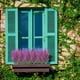 thumbnail image 5 of 10 Flores Artificiales de Lavanda, Ramos de Plástico de 38 Cm de Largo para Bodas, Hogar, Jardín, Decoración Interior y Exterior, Color Morado., 5 of 6
