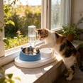 thumbnail image 6 of Tuvgenk Dog & Cat Bowl Non-Skid Pet Food Water Bowl No Spill Plastic Blue Cat Dish Pet Feeder for Small/Medium Dog, 6 of 6