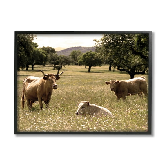 Stupell Industries Three Cattle Relaxing Grassland Pasture Rural Farm Trees Photograph Black Framed Art Print Wall Art, Design by Daphne Polselli