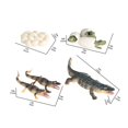 thumbnail image 3 of Educational Simulation Children‘s Best Animal Growth Cycle Model Cartoon Toys, 3 of 6