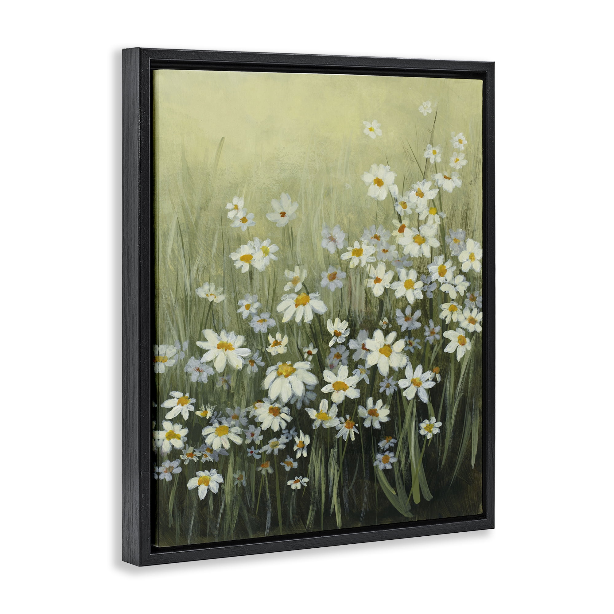 Stupell Industries Daisy Field Garden Plants & Flowers Painting Black Floater Framed Canvas Art Print Wall Art, 17 x 21